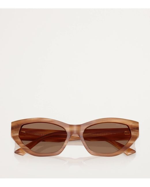 Jimmy Choo Brown Acetate Jc5022B Sunglasses