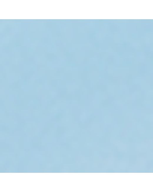 Loewe Blue Acetate Oval Flower Sunglasses