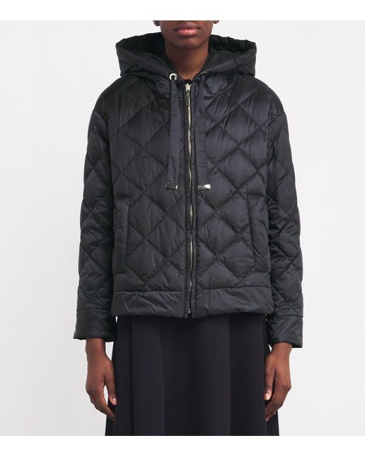 Max Mara Cube