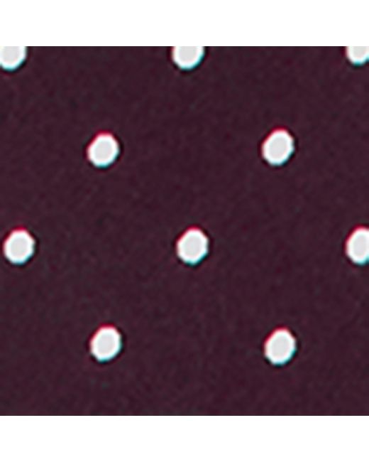 Tom Ford Purple Silk Polka-Dot Tie for men