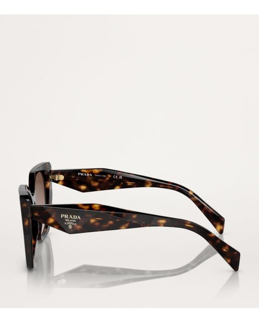 Prada Brown Acetate Pr 19Zs Sunglasses