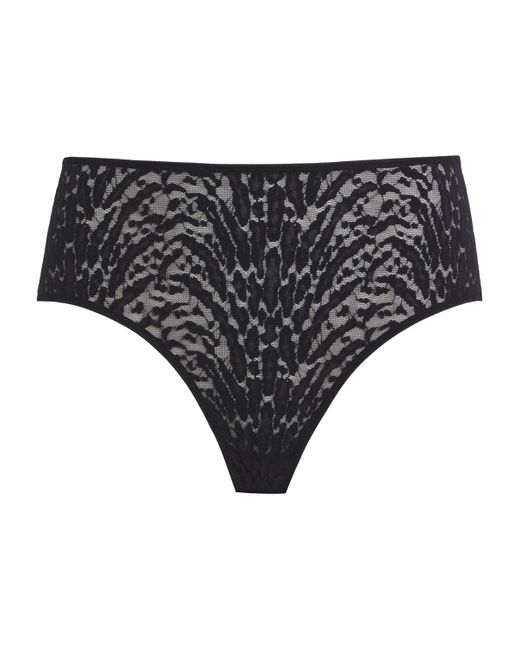 Wolford Black Animaliers Briefs