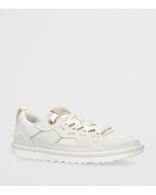 Ugg White Suede Minimel Sneakers