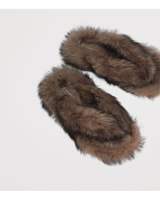 Dolce & Gabbana Brown Shearling Flip Flops