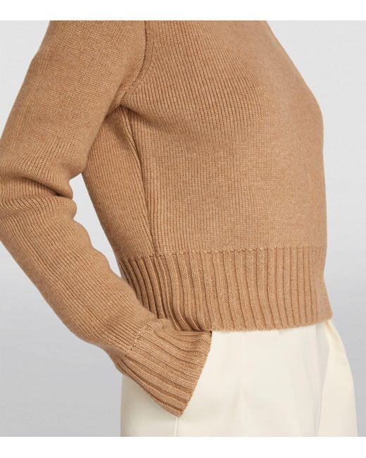 Khaite Brown Jovie Rollneck Sweater