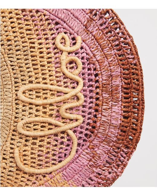 Chloé Pink Raffia Gradient Summer Banana Shoulder Bag