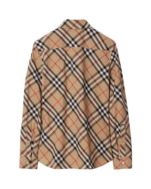 Burberry Brown Shirts
