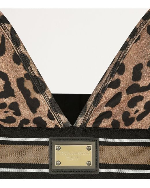 Dolce & Gabbana Brown Leopard Print Bralette Top
