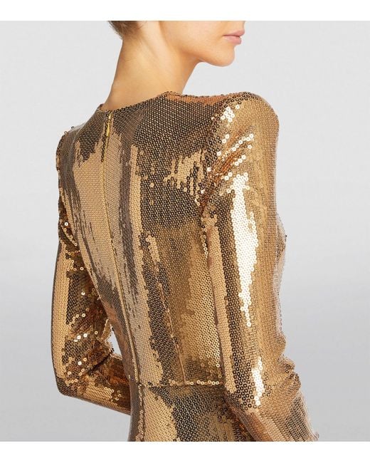 Alex Perry Natural Sequinned V-neck Gown