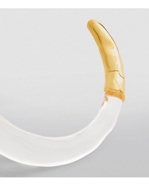 Alexis Natural Clear Lucite Hinge Collar