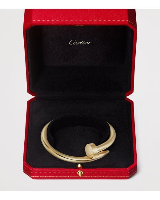 Cartier Metallic Juste Un Clou Bracelet