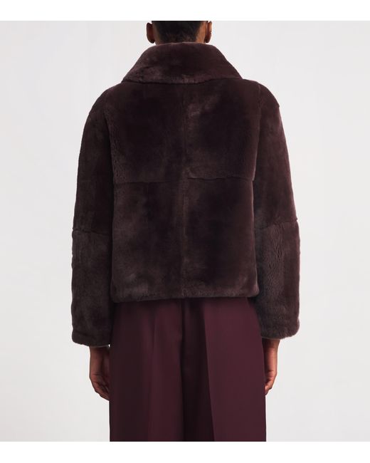 Yves Salomon Brown Mink Collared Jacket