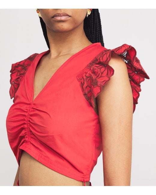 Sandro Embroidered Crop Top