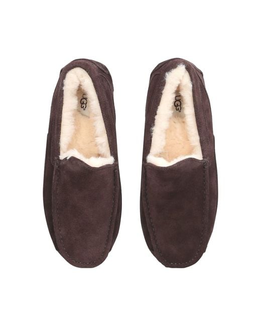 Ugg Green Ascot Slipper for men