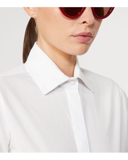 Max Mara Pink Acetate Butterfly Sunglasses