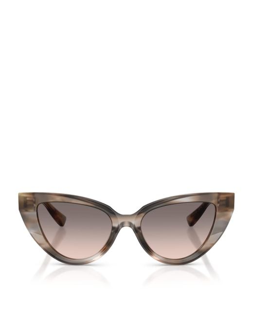 Dolce & Gabbana Brown Cat Eye Sunglasses