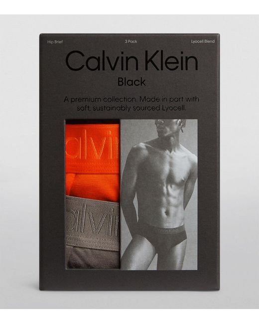 Calvin Klein Multicolor Lyocell-blend Briefs (pack Of 3) for men