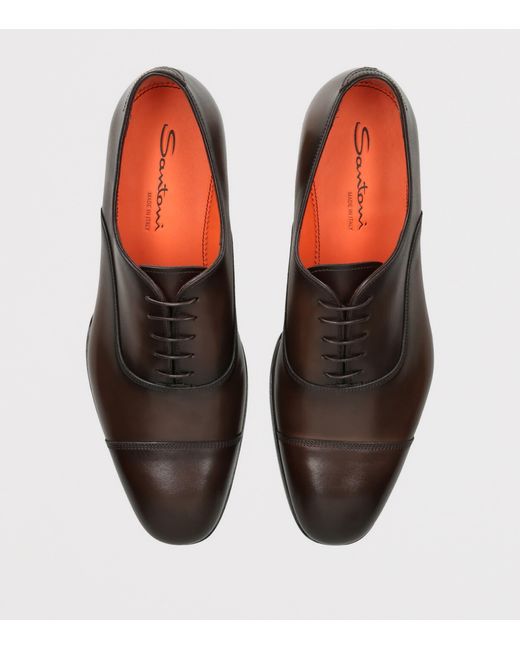 Santoni Brown Leather Adrian Blake Oxford Shoes for men