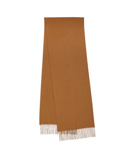 Johnstons of Elgin Cashmere Vicuna Scarf in Brown Lyst