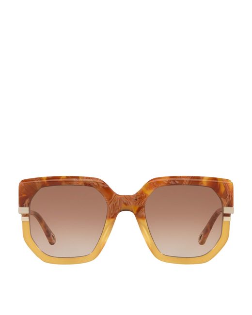 Chloé Brown Acetate Ch0240S Sunglasses