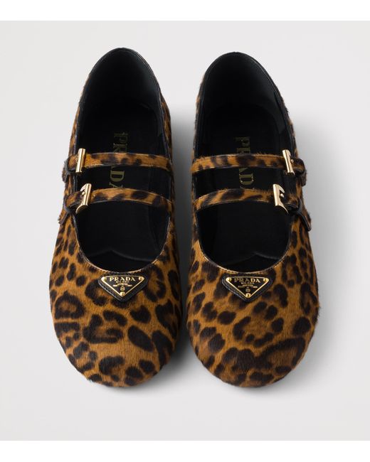 Prada Brown Low Shoes