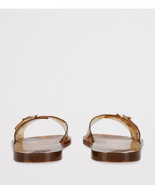 Ancient Greek Sandals Brown Jelly Filia Sandals