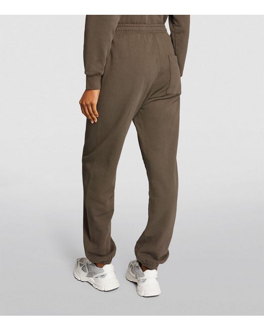 Sweatpants brown sales