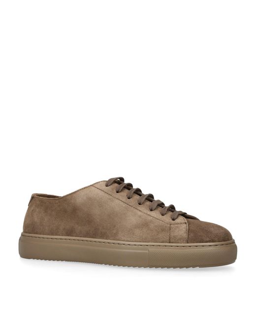 Doucal's Brown Suede Wash Sneakers for men