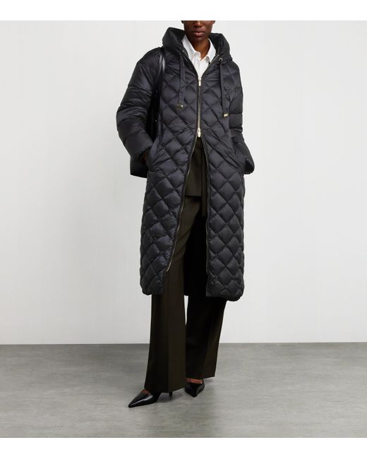 Max Mara Cube