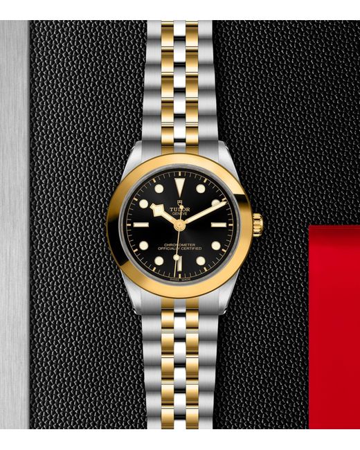 Tudor Metallic Black Bay Stainless Steel And Yellow Gold Watch 39mm for men