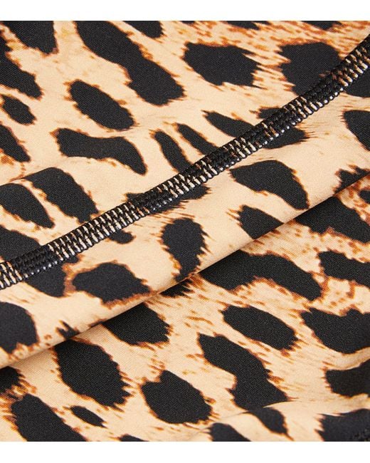 P.E Nation Multicolor Leopard Print Recalibrate Shorts