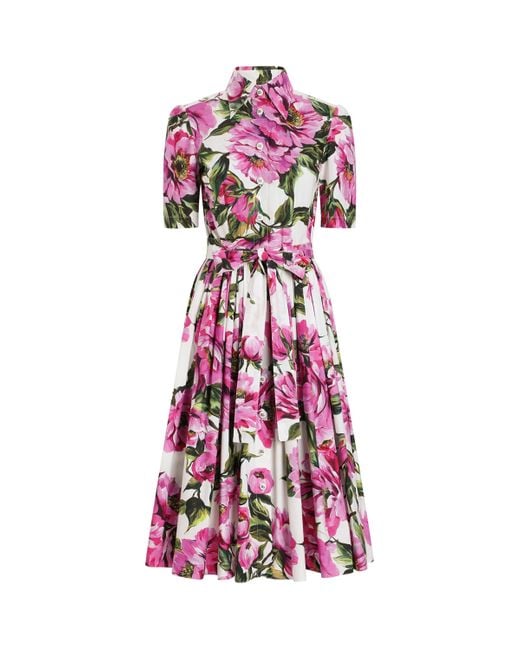 Dolce & Gabbana Purple Floral Print Midi Shirt Dress