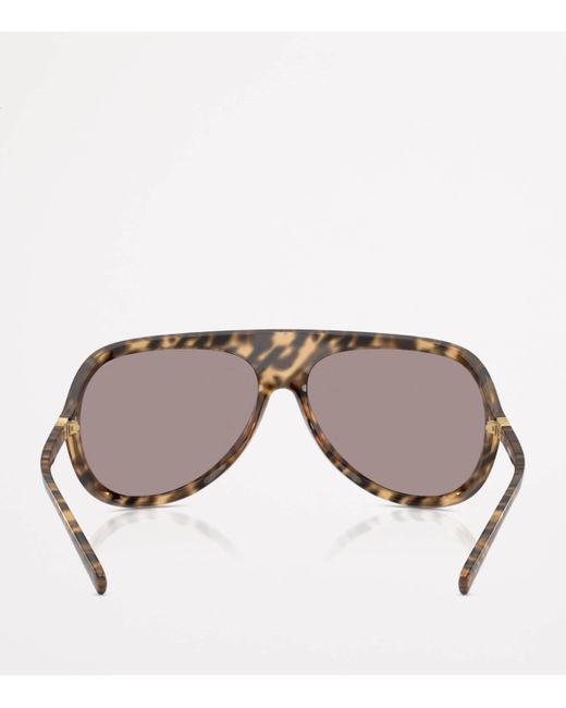 Miu Miu Brown Injected Aviator Sunglasses