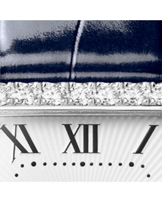 Cartier Blue Small And Diamond Tortue Watch