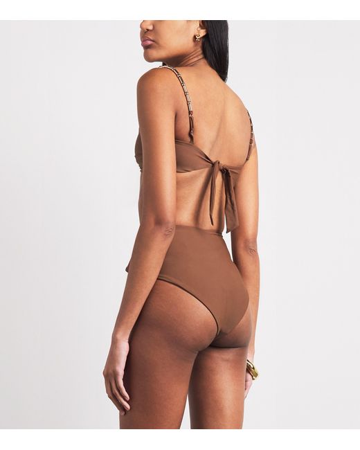 Devon Windsor Brown Draped Evalina Bikini Briefs