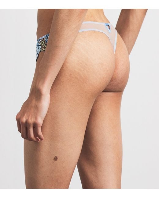 Fleur du Mal Blue Embroidered Hydrangea Thong