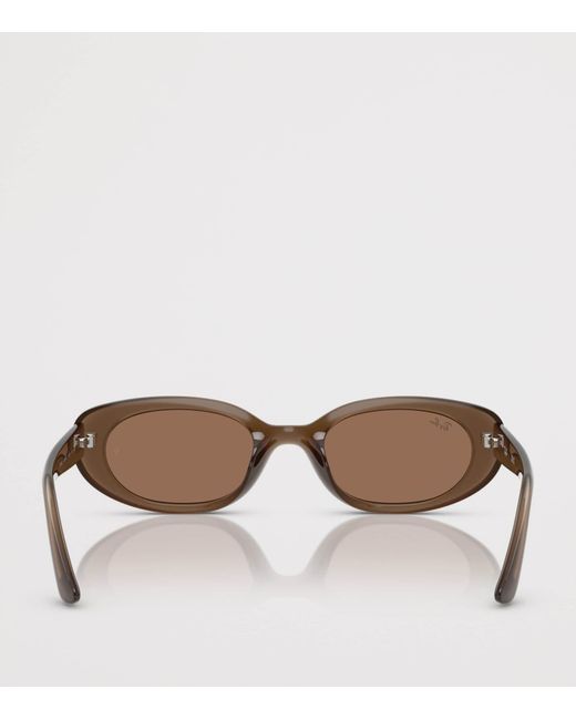 Ray-Ban Brown Injected Oval Sunglasses