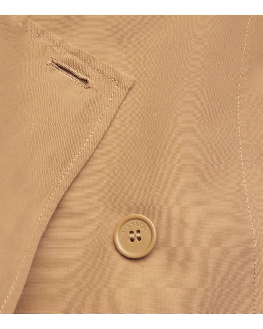 MAX&Co. Natural Cotton-Blend Trench Coat