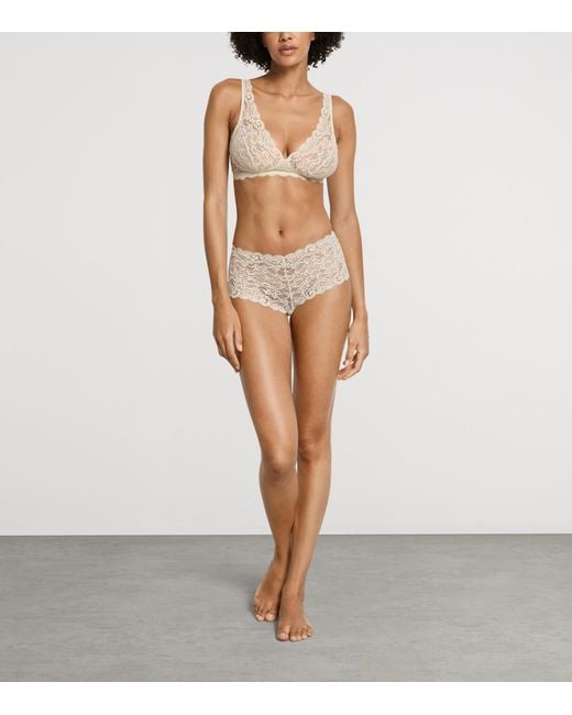 Hanro Natural Lace Moments Maxi Briefs