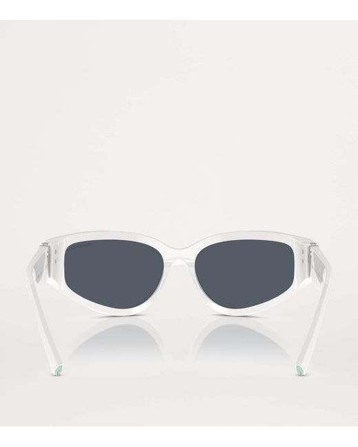 Tiffany & Co Gray Acetate Oval Sunglasses