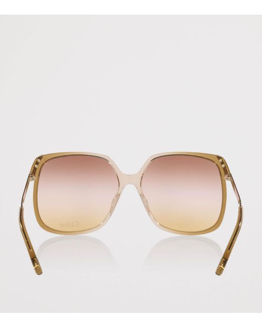 Chloé Brown Acetate Ch0286S Rectangle Sunglasses