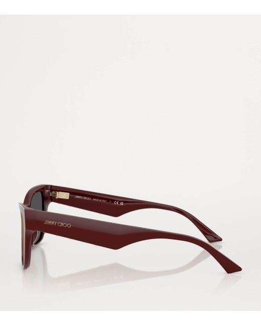 Jimmy Choo Brown Acetate Jc5024Hu Sunglasses
