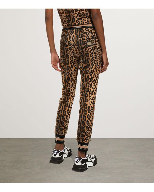 Dolce & Gabbana Multicolor Leopard Print Sweatpants