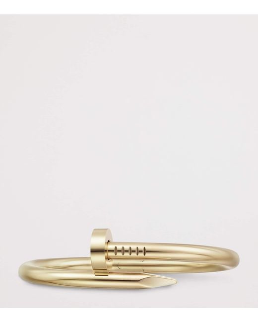 Cartier Metallic Juste Un Clou Bracelet