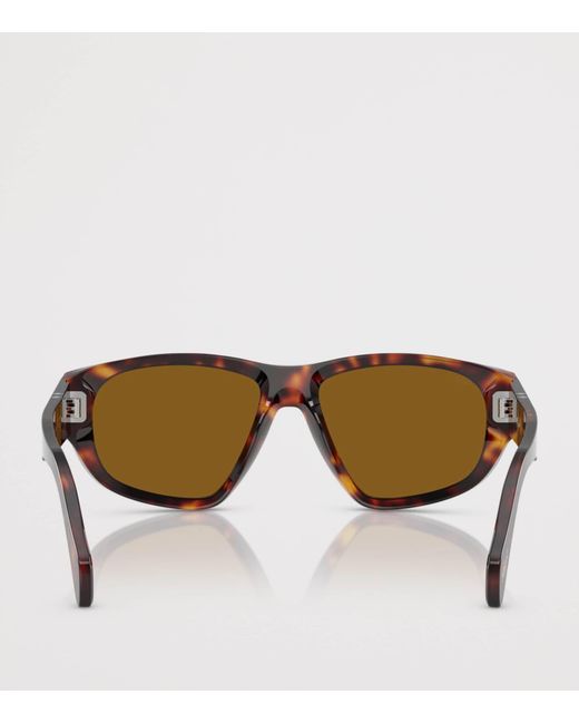Persol Brown Acetate Irregular Sunglasses