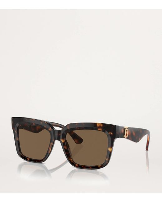 Burberry Brown Acetate Be4419 Sunglasses