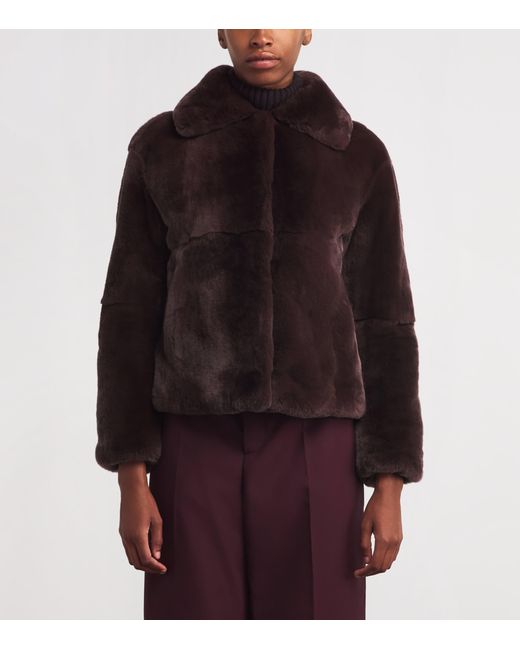Yves Salomon Brown Mink Collared Jacket
