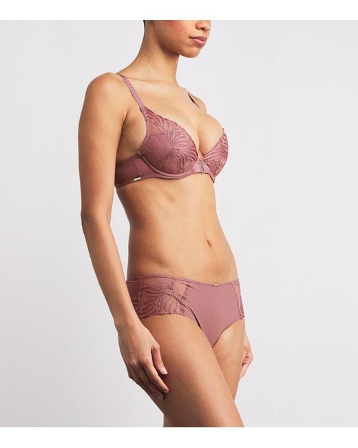 Chantelle Pink Lace Legend Shorty Briefs