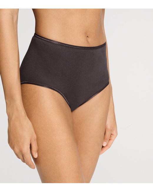 Hanro Brown Cotton Maxi Briefs