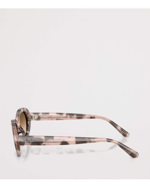 Ray-Ban Brown Rb2223 Sunglasses